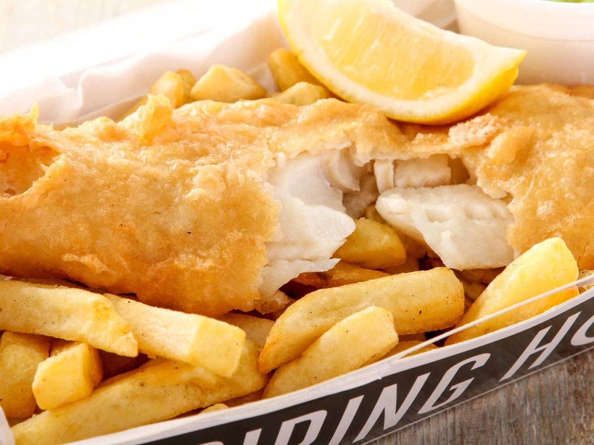Fishy Plaice Photos 2